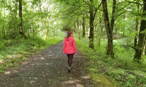 Course Closed …. Mindfulness and Meditation for Everyday Living (6 week Programme starting 10th August 2020!)