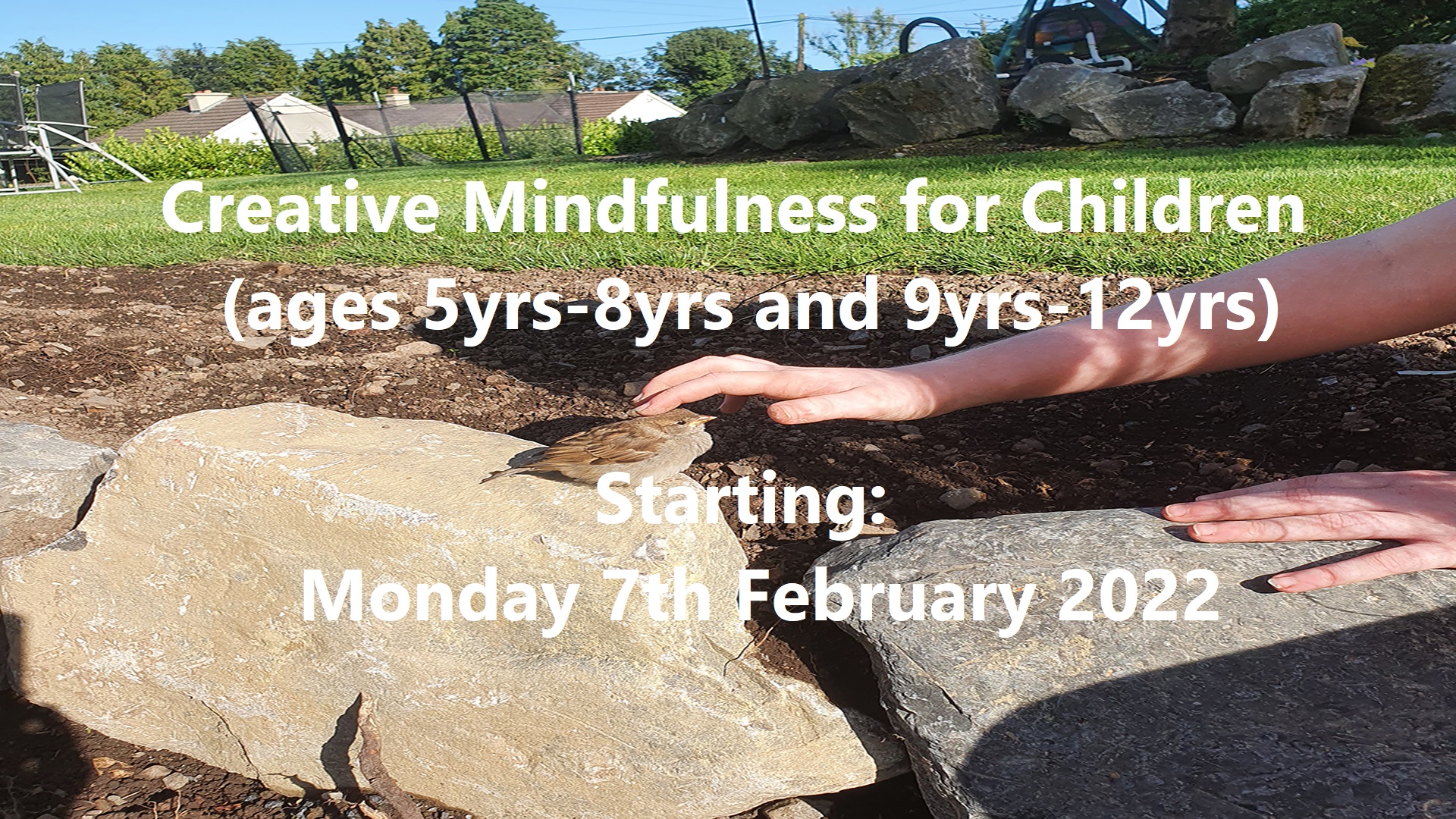 Mindfulness for Children All Ages